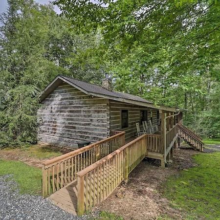 Cozy 'Grey Fox' Cabin Between Boone & Блоуинг Рок Екстериор снимка
